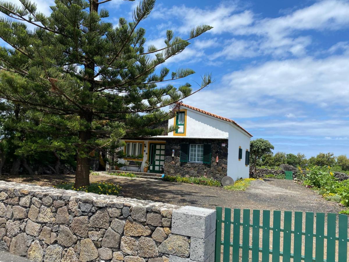 マダレナ Casa Da Costaヴィラ エクステリア 写真