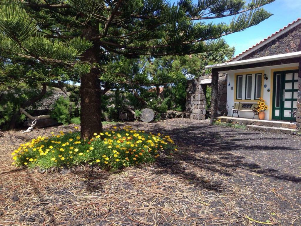 マダレナ Casa Da Costaヴィラ エクステリア 写真